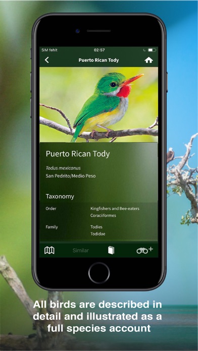 All Birds PR -> Antigua Screenshot