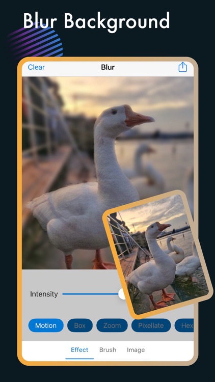 Blur Photo Background Editor