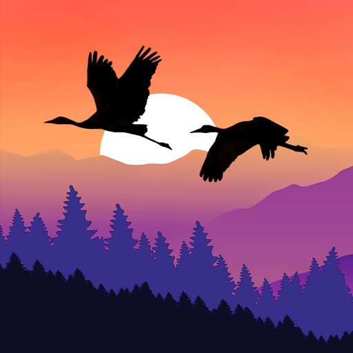 Pure Nature - 3D Soundscapes