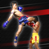 Muay Thai: The Complete Series - Christoph Delp
