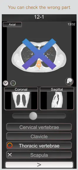 Game screenshot CT PassQuiz Chest / MRI apk