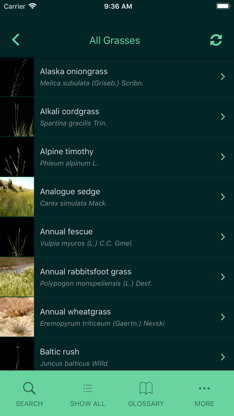 Idaho Grasses screenshot 1