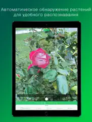 plantsnap pro: identify plants айпад изображения 2