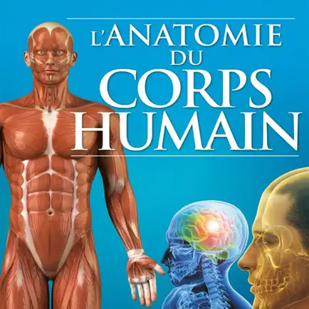 Quizz:Anatomie du Corps Humain Читы
