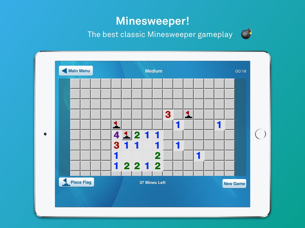 iPad screenshot