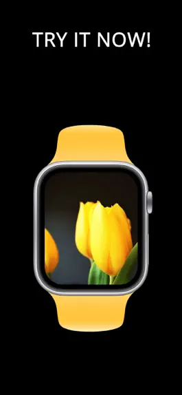 Game screenshot Watch Faces Wallpapers hack