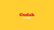 Gudak Cam Lite iphone bilder 0