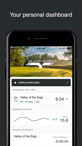 Game screenshot Valley of the Eagles apk