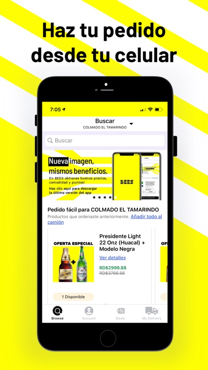 BEES Republica Dominicana