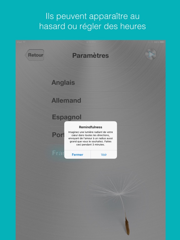 Screenshot #5 pour Remindfulness