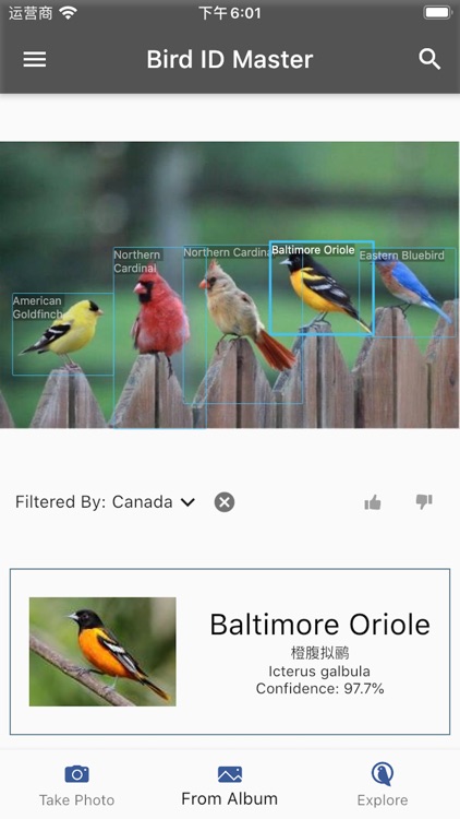 Bird ID Master screenshot-5