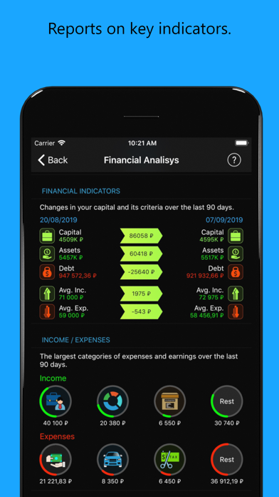 The Money: finances, budget Screenshot