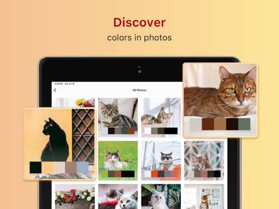 Screenshot #6 pour Color Collect - Palette Studio