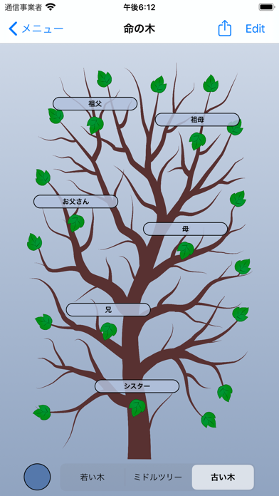 生命の木-家系図のおすすめ画像3