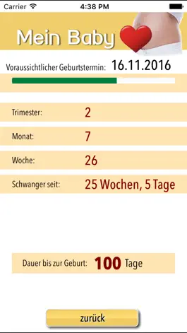 Game screenshot Mein Baby - Ich bin schwanger hack