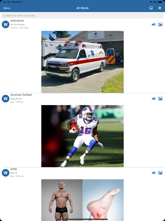 Screenshot #5 pour Dictionnaire d'images anglais