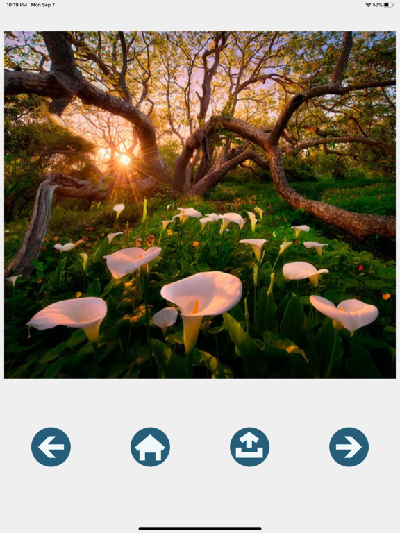 Landscapes pretty images iPad screenshot 7 - Lifestyle app