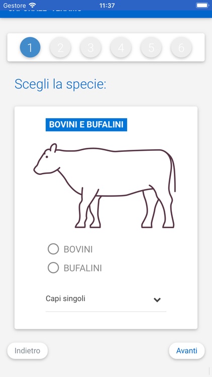 Modello 4 Elettronico screenshot-3