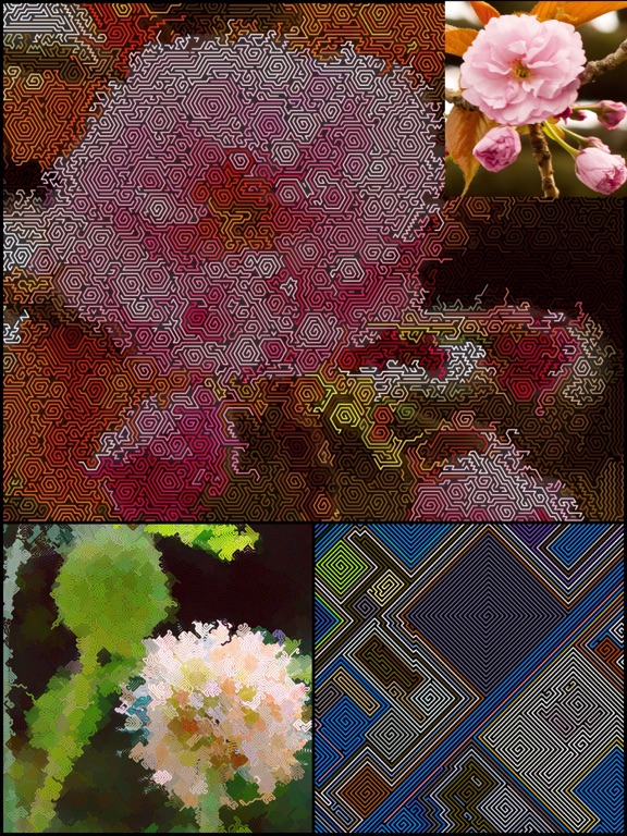 Screenshot #4 pour GRWalkImager