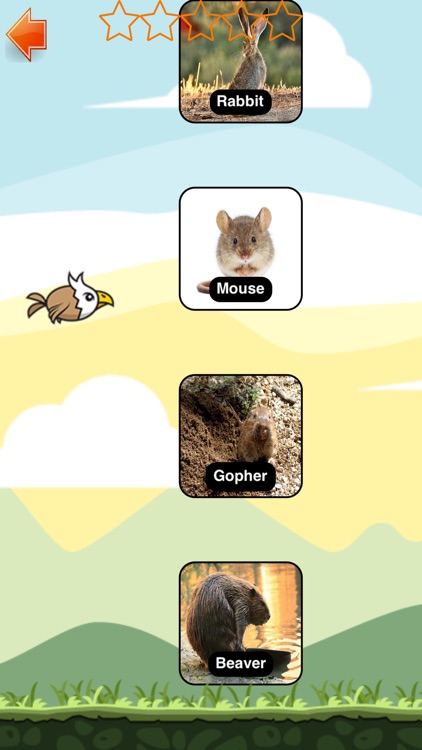 Learn LRR Woodland Cree screenshot-4