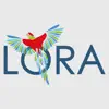 LORA Comercio Positive Reviews, comments