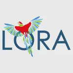 LORA Comercio App Positive Reviews