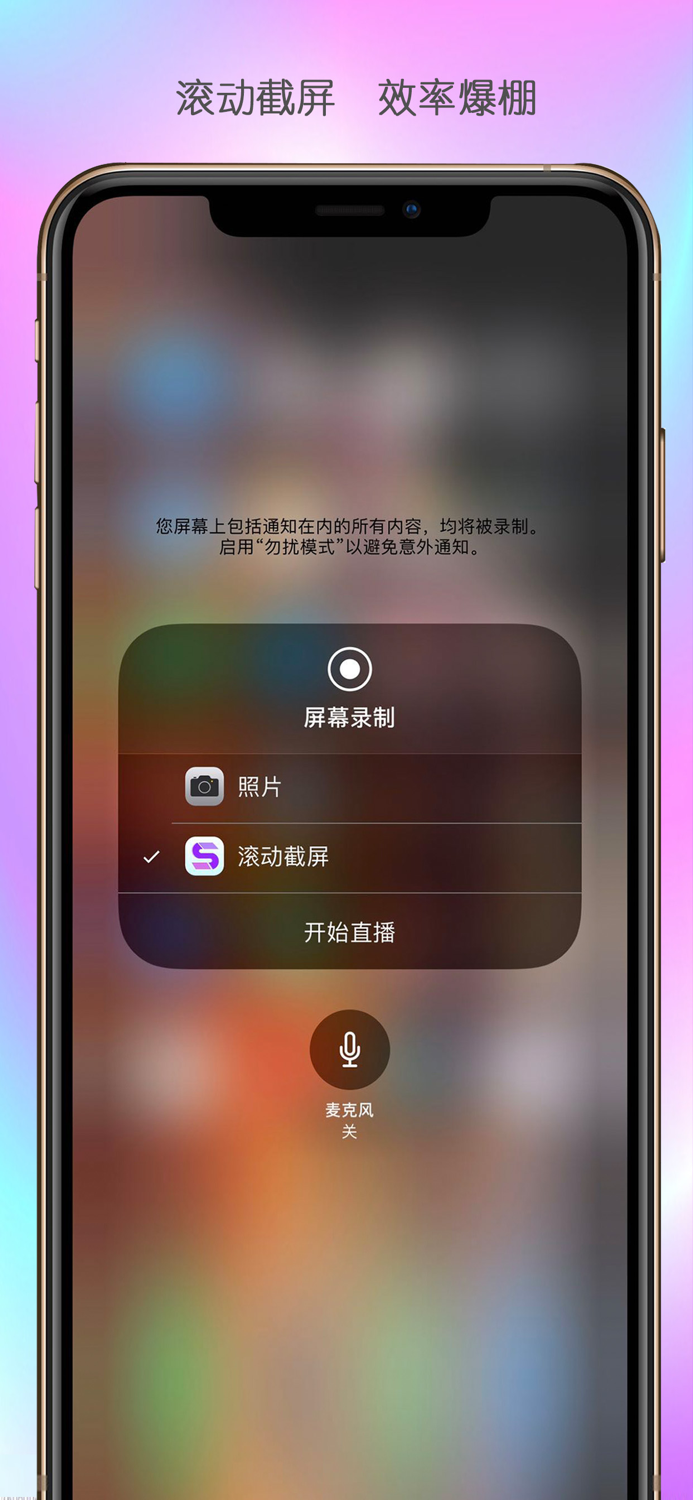 Stitch - ScreenShot and PicSew