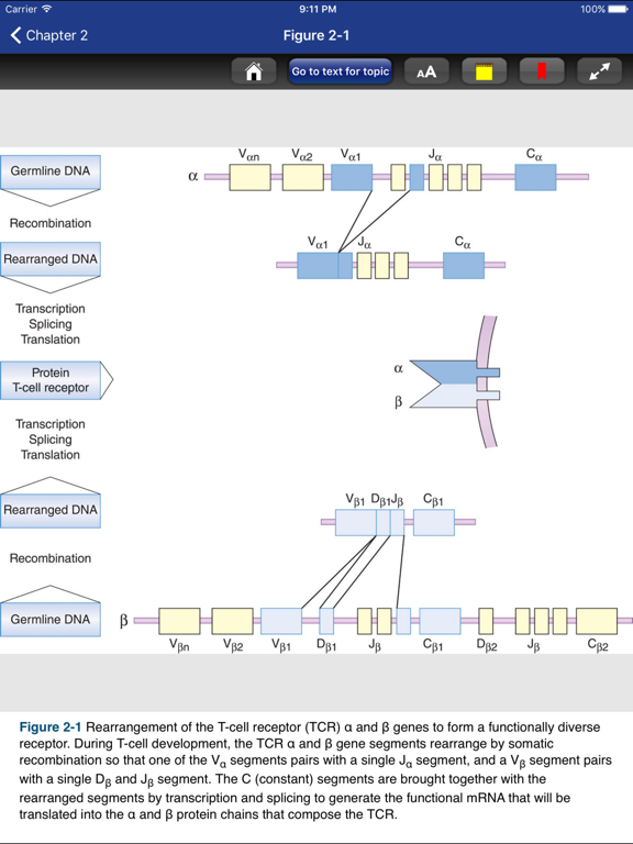 Greenspan's Endocrinology 10/E iPad screenshot