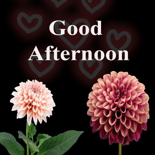 Good Afternoon GIF Images Card by Vikrambhai Desai