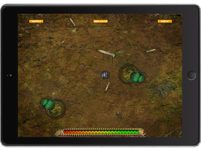 ‎Isopod A RolyPoly Science Game Screenshot