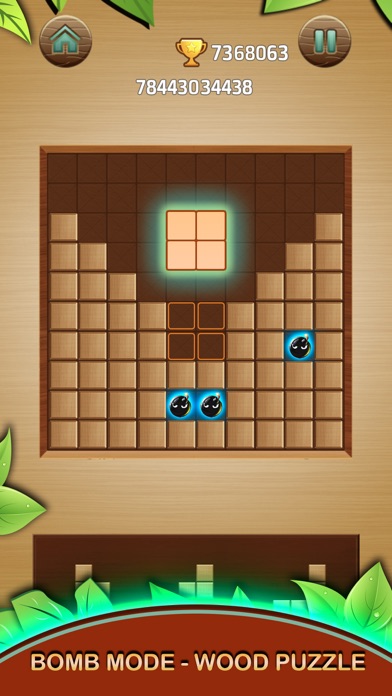 Wood Block Puzzle Box 1010 screenshot 3