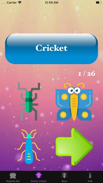 Guess insect quiz