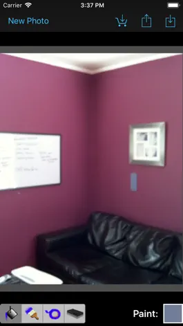 Game screenshot Paint Tester mod apk