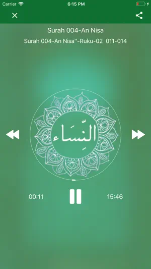Tafheem ul Quran Full Audio screenshot 4