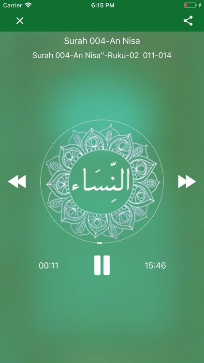 Tafheem ul Quran Full Audio screenshot-3