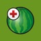 The Hazera watermelon disease app is a practical instrument for tomato growers to recognise diseases and malfunctions in watermelon
