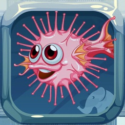 Fish Challenge to learn