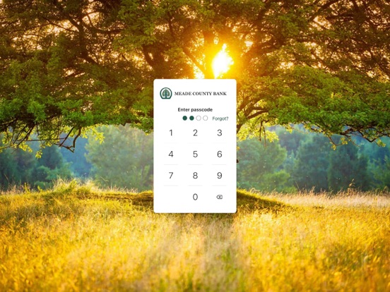 MCB Go iPad screenshot 2 - Finance app