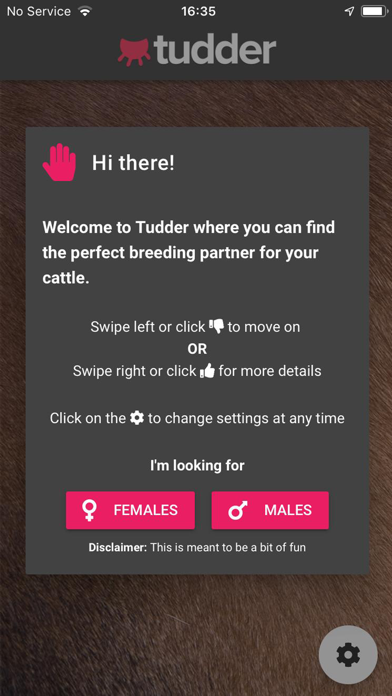 Tudder iPhone screenshot 1 - Business app