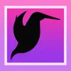 Similar Hummingbird Identifier Apps