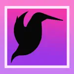 Hummingbird Identifier App Support