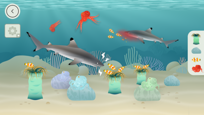 Screenshot #1 pour Les Récifs Coralliens-Tinybop