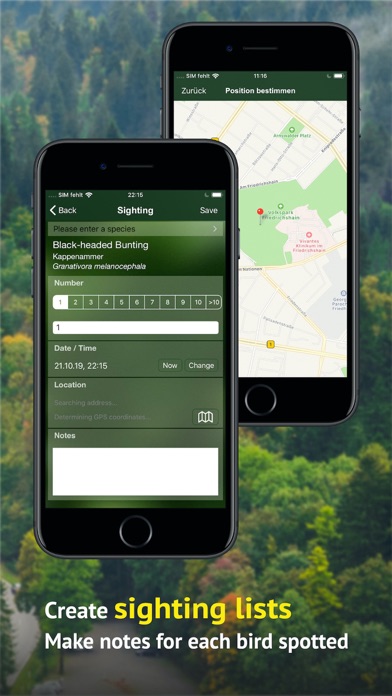 All Birds Germany Screenshot