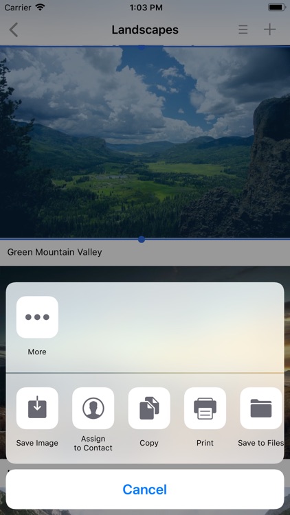 PhotoAlbum-Pro screenshot-4