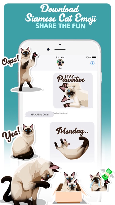 Screenshot #10 for Siamese Cats Emoji Sticker
