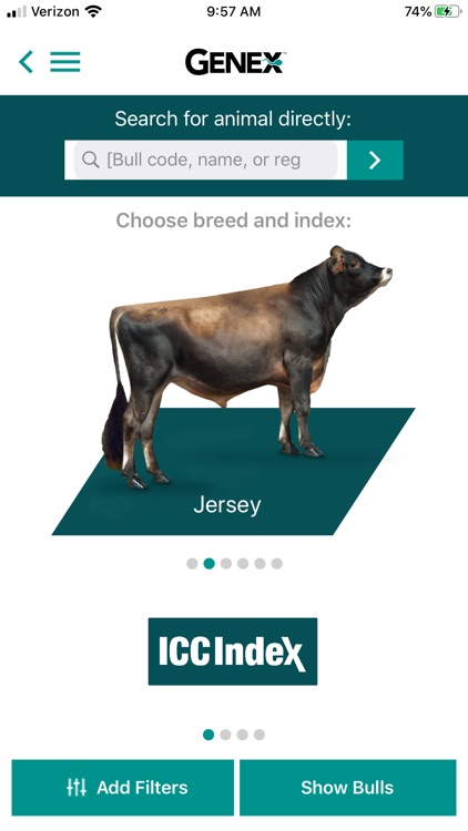 Bull Search