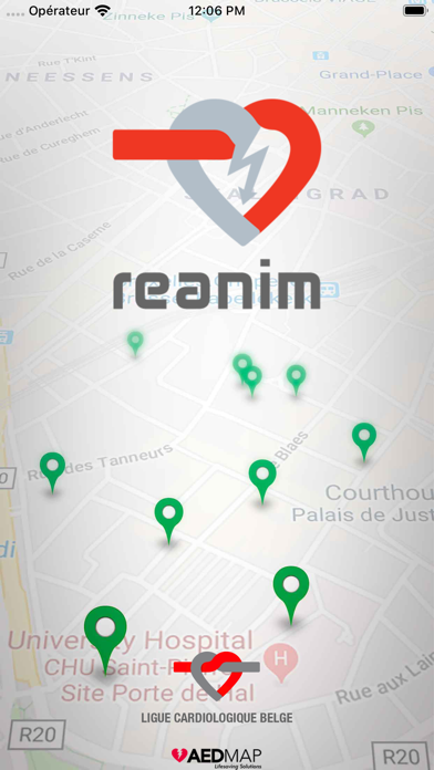 Screenshot #1 pour Reanim