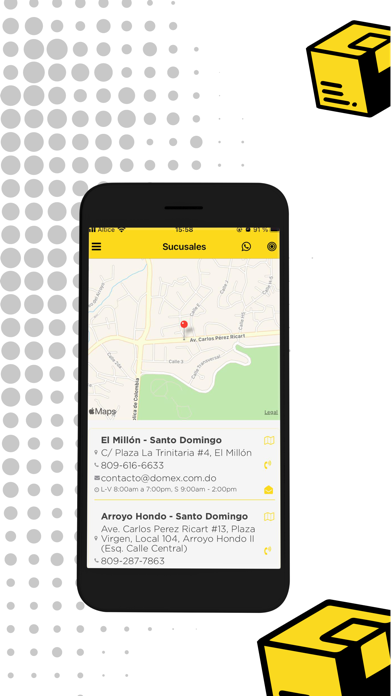 Domex Courier Screenshot