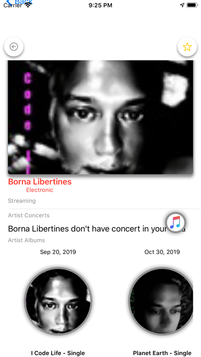 Music Artist Screenshot