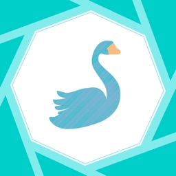 Birdify - Bird Identifier